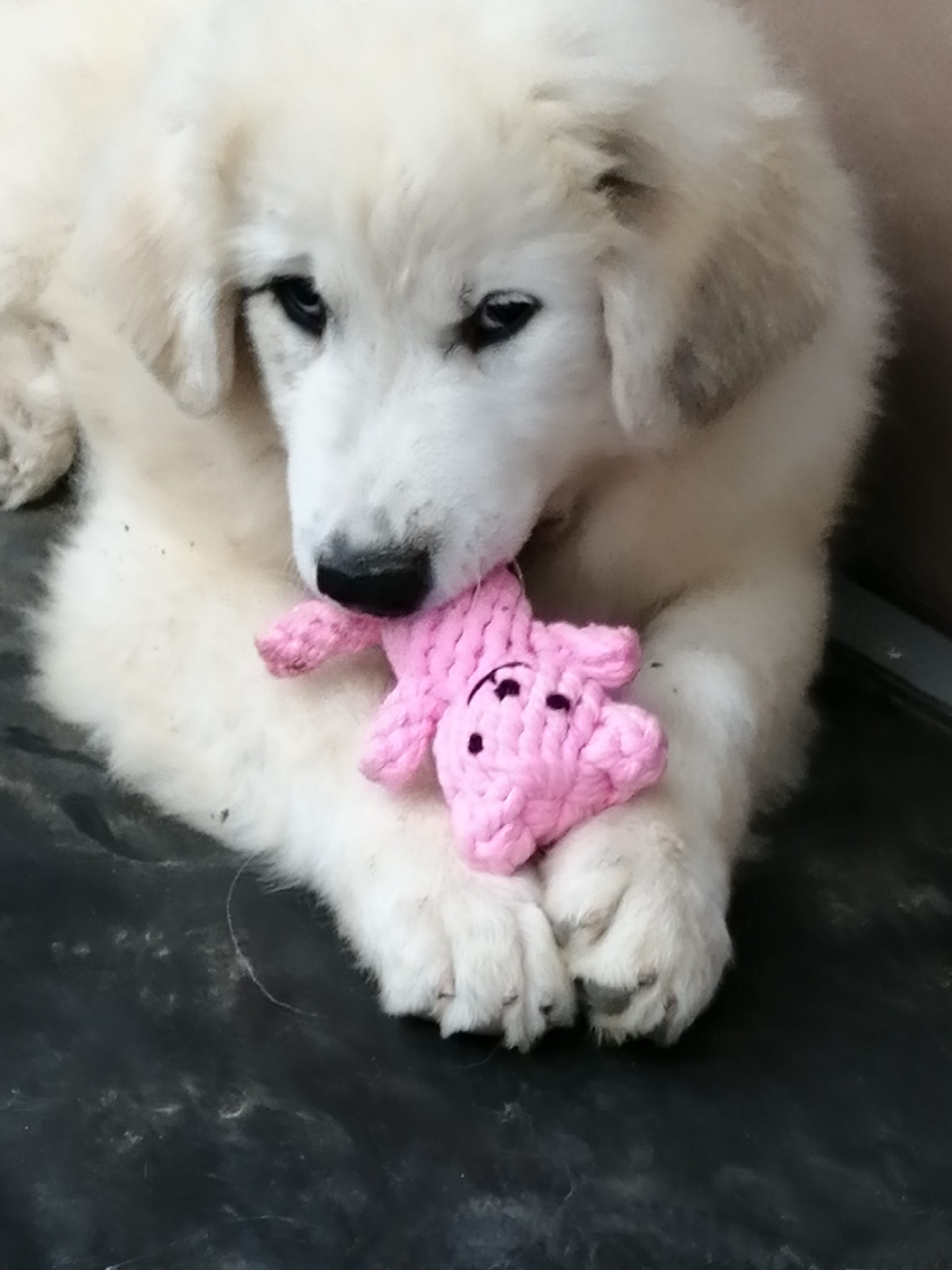 SIRRAH BEBE AVEC SON DOUDOU